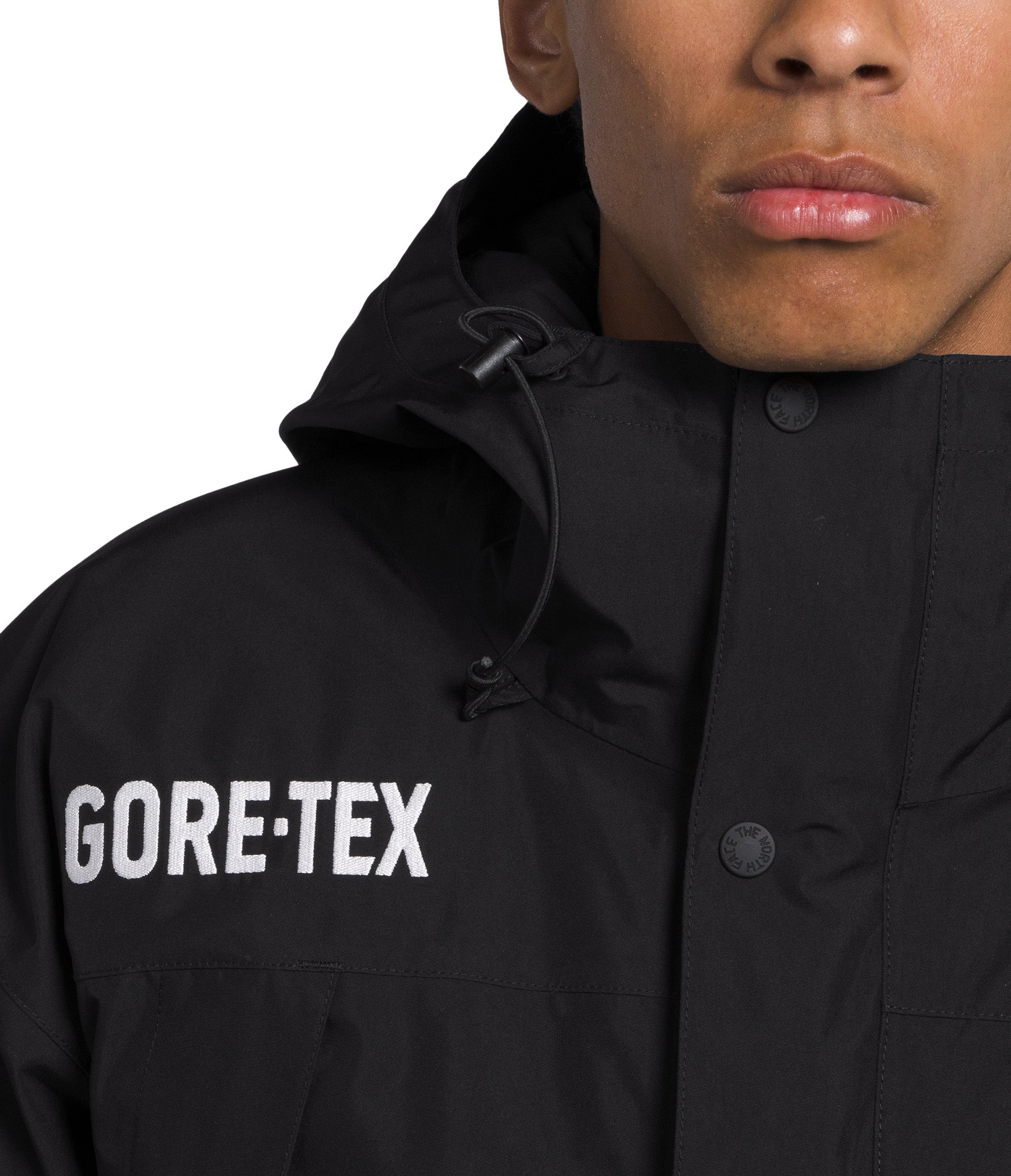 The North Face Guide GTX Mountain Insulated Jacket - Men's