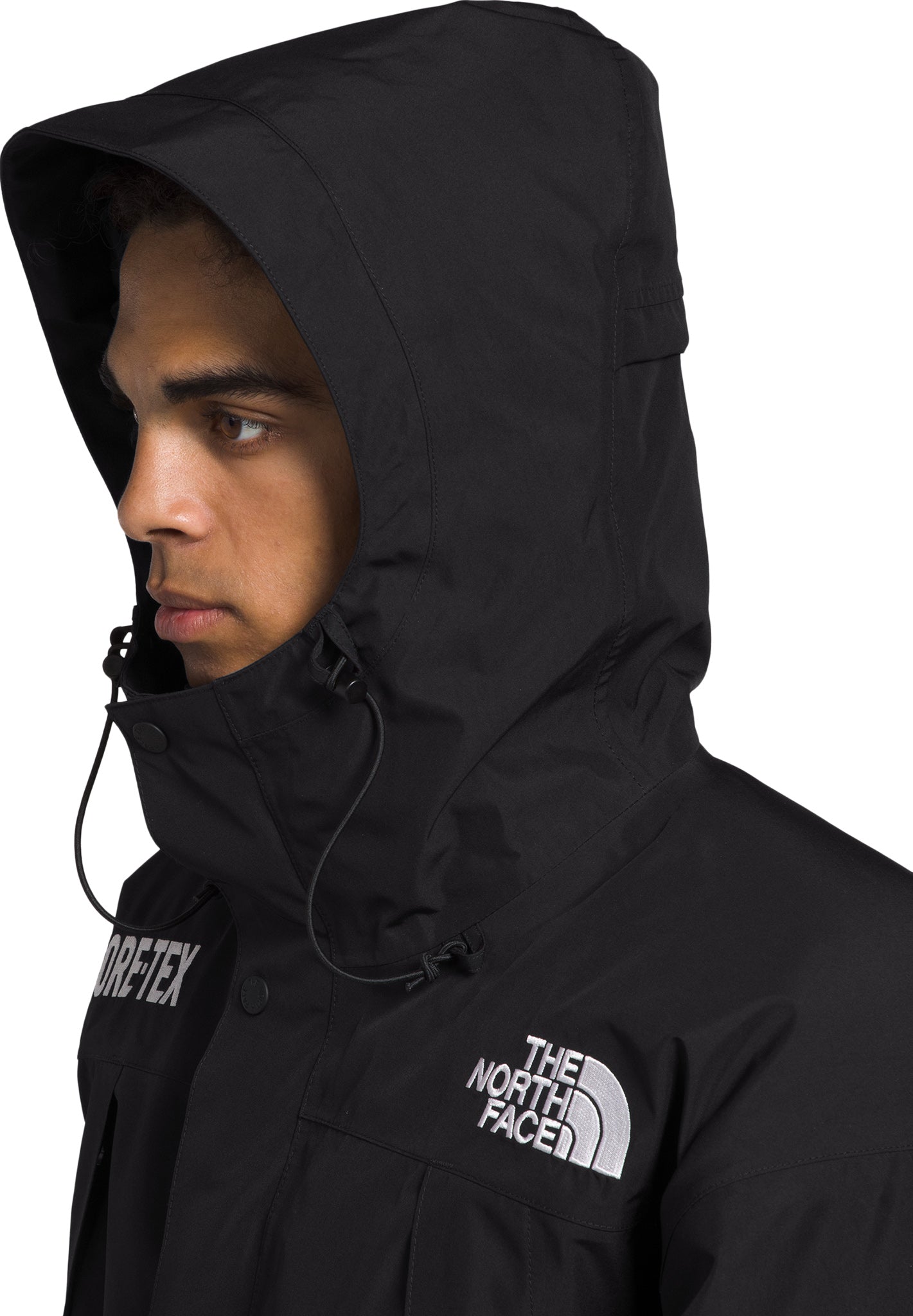 The North Face GTX Mountain Jacket - Men's