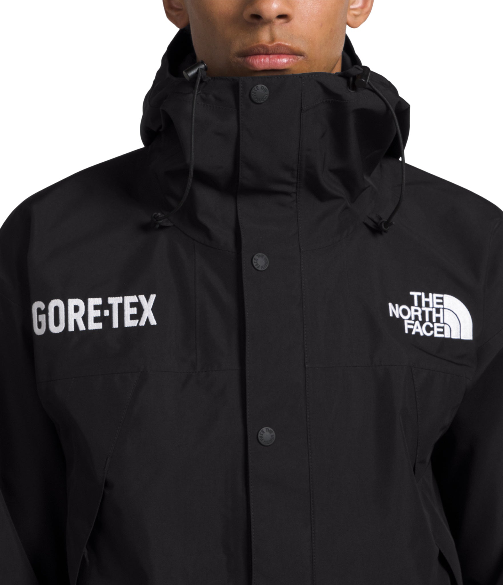 The North Face GTX Mountain Jacket   Men's   Altitude Sports