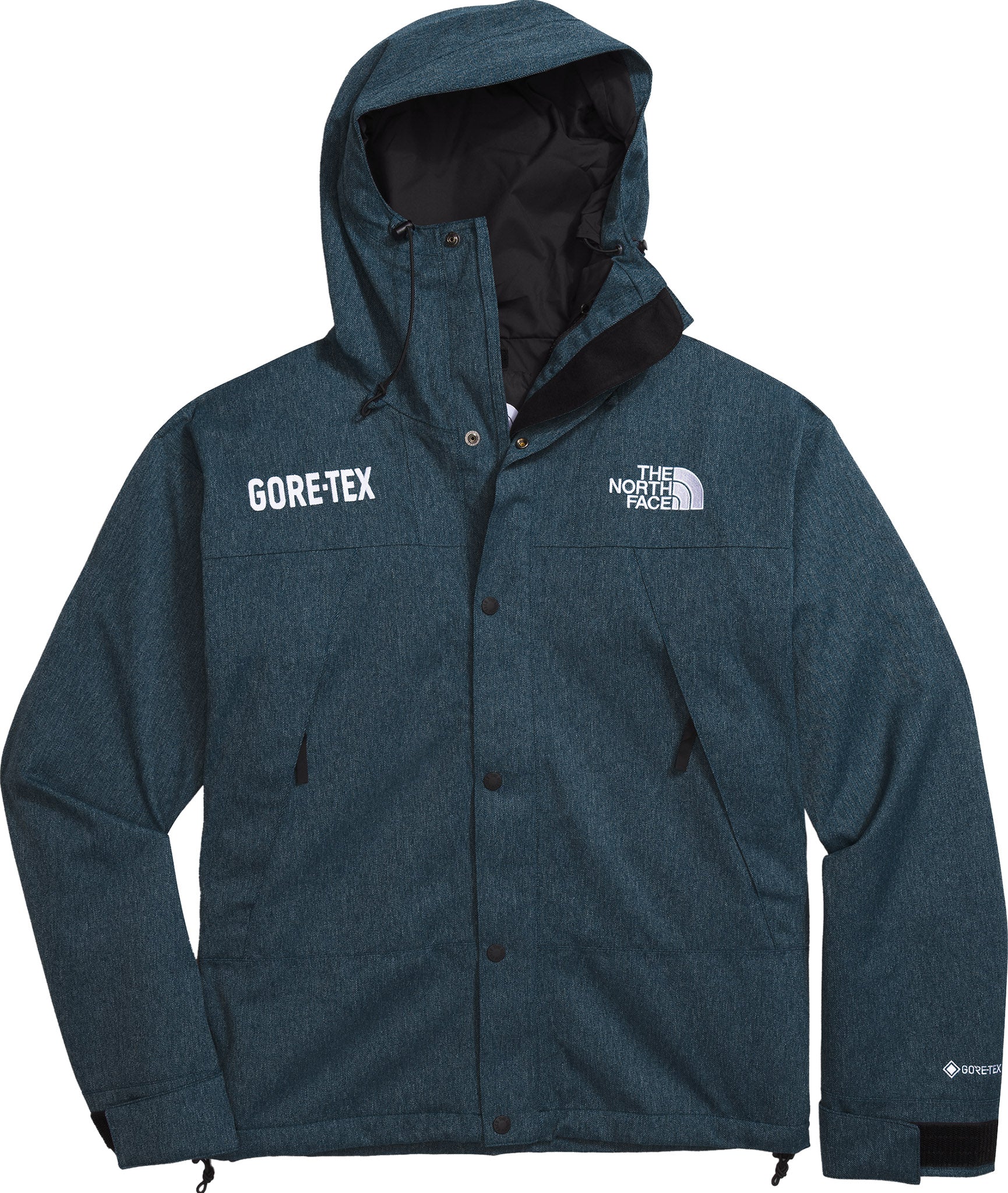 The North Face GTX Mountain Jacket - Men's