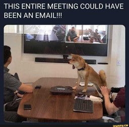 This Entire Meeting Could Have Been An Email Meme