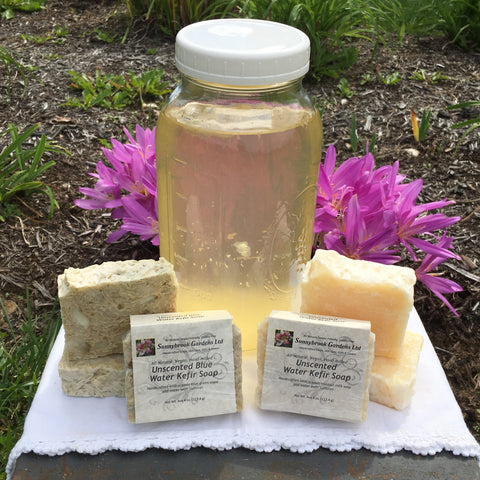 Sunnybrook Gardens Ltd Unscented Water Kefir Hand-milled Soaps, all natural, vegan friendly