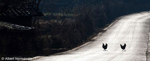 country roads in China - Heart of a Dragon - Man in Motion Tour