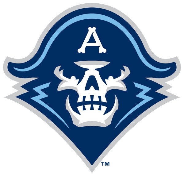 Personalise AHL CCM Quicklite Milwaukee Admirals 2022 Navy Home Jersey -  WanderGears