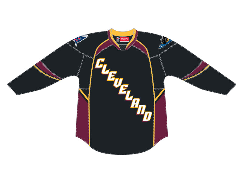 lake erie monsters jersey