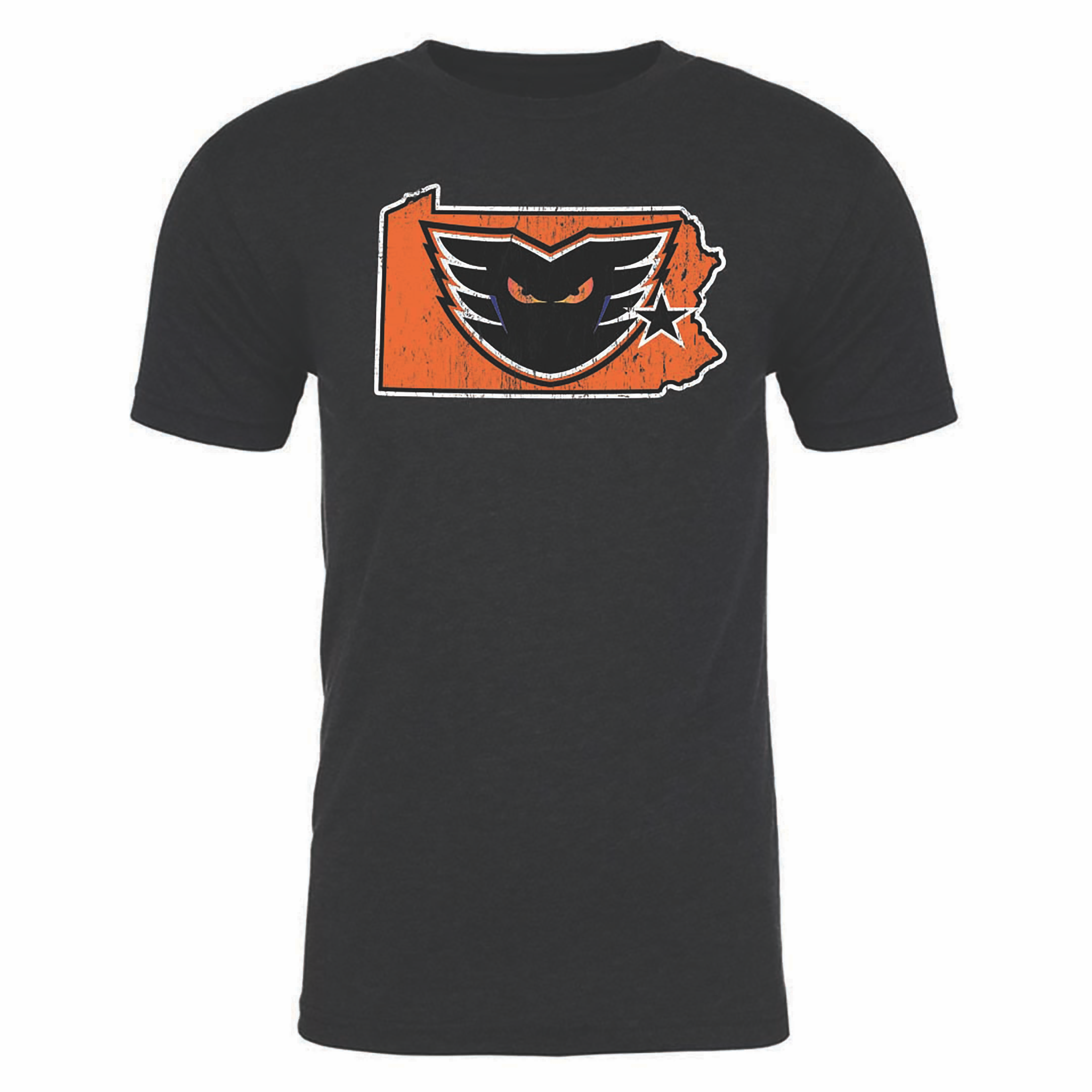 108 Stitches Lehigh Valley Phantoms Adult State of Pennsylvania Short ...