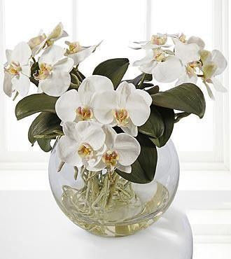 Orchidée Phalaenopsis Botaniques en soie blanche – Director Flowers