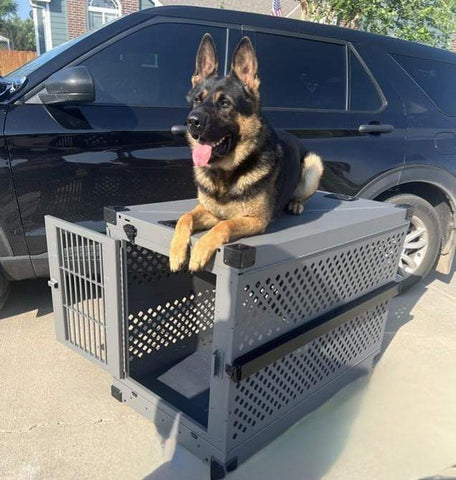 K9 Max showing off his new donated crate
