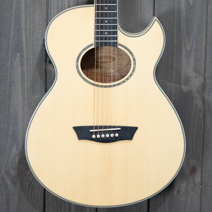 washburn festival ea20