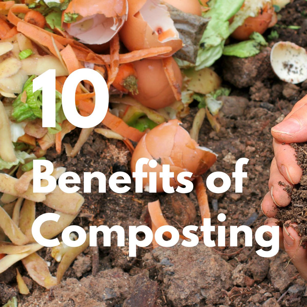 10 benefits of composting