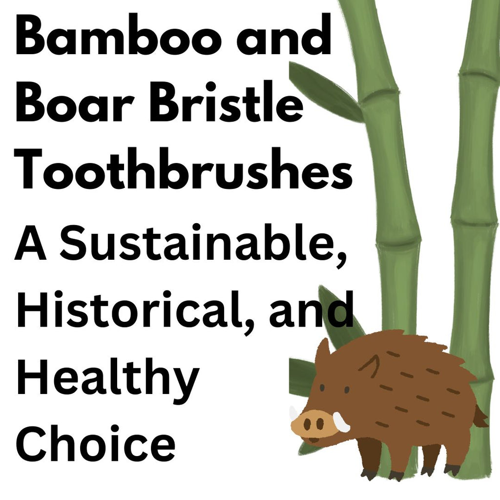 A Sustainable, Historical, and Healthy Choice bamboo and boar bristle toothbrushes