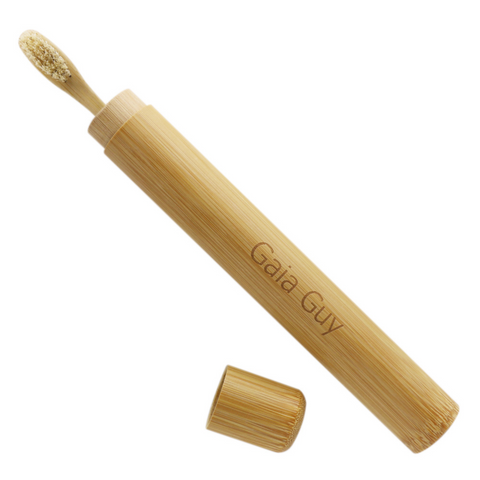 bamboo toothbrush with travel case