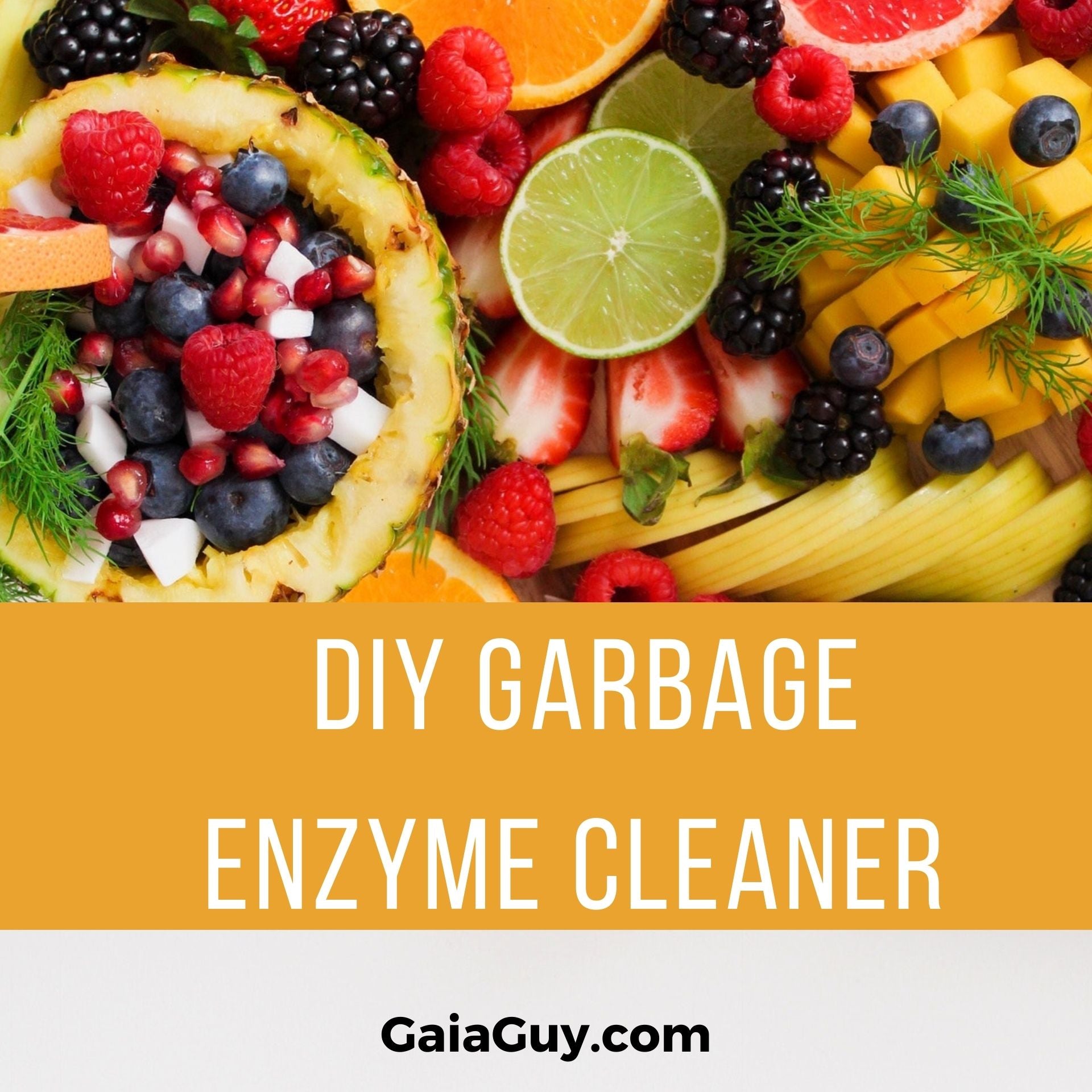 diy garbage enzyme cleaner