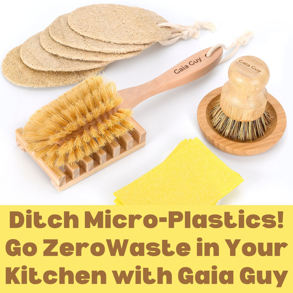 Ditch Micro-Plastics! Go ZeroWaste in Your Kitchen with Gaia Guy
