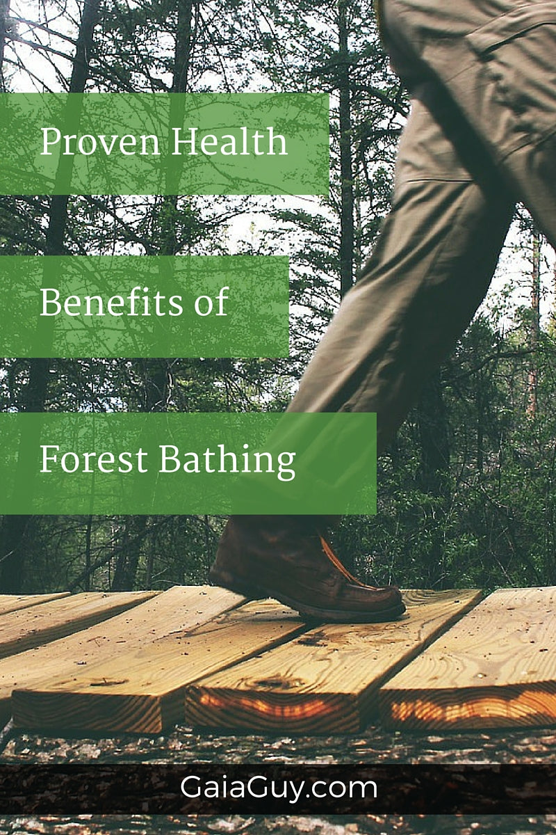 Forest Bathing: What It Is and Benefits