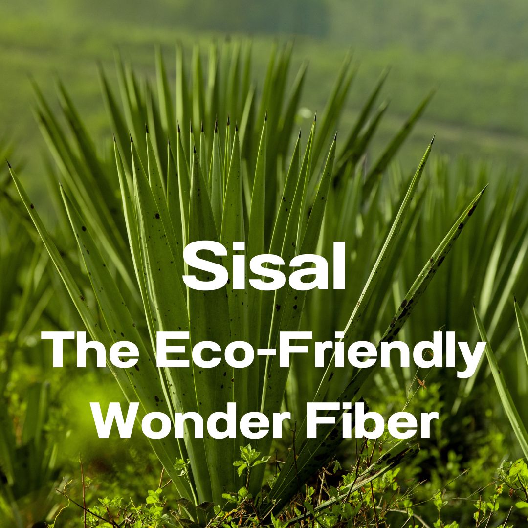 Sisal: The Eco-Friendly Wonder Fiber – Gaia Guy