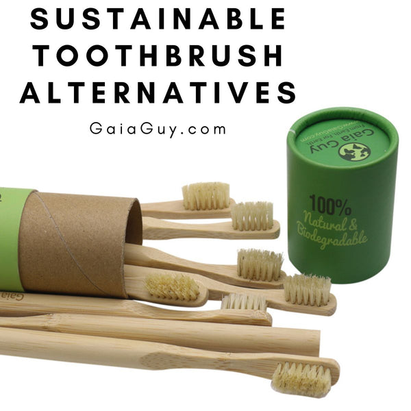 sustainable toothbrush alternatives