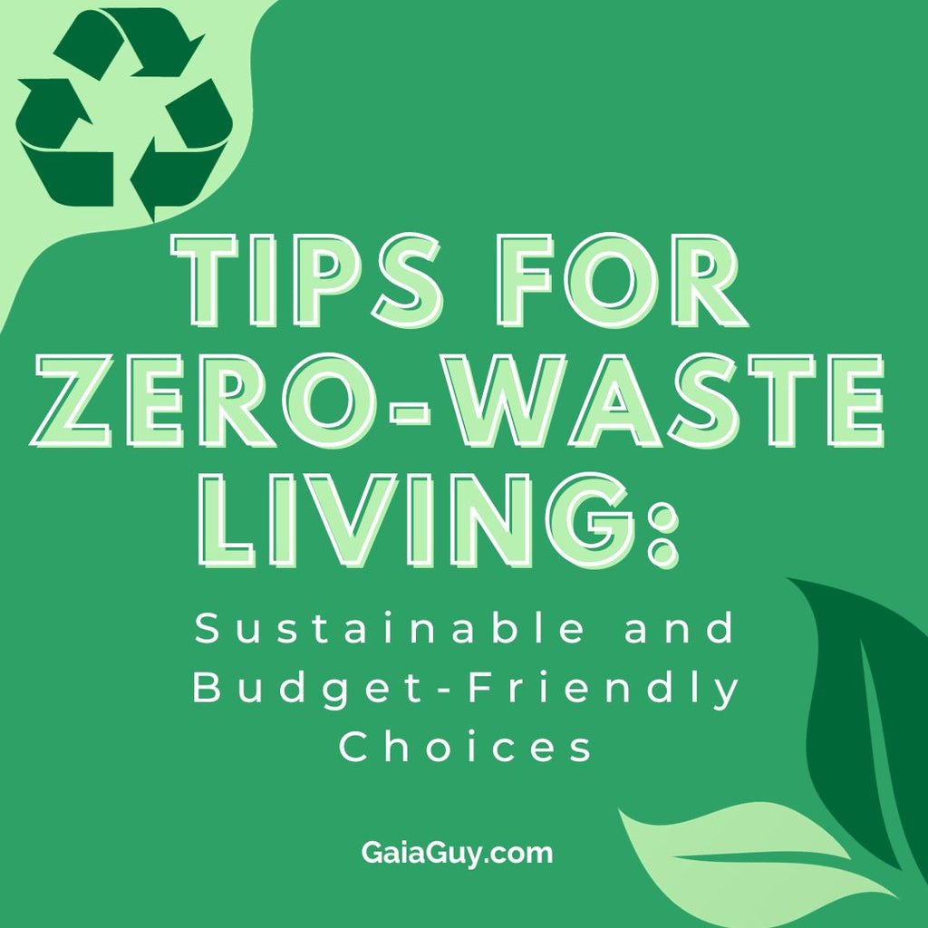 tips for zero waste living on a budget