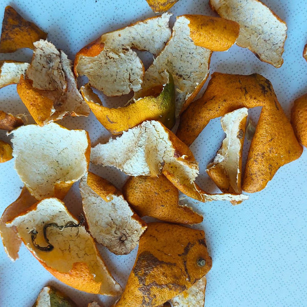 dried orange peels