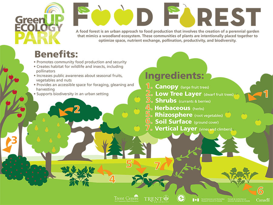 food forest design