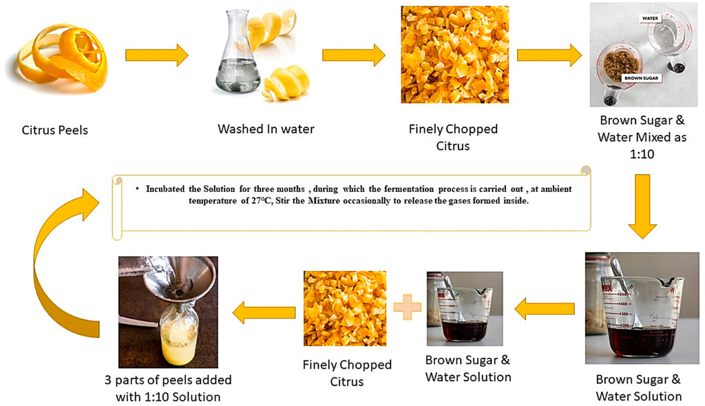 bio enzyme cleaner from fruit peels