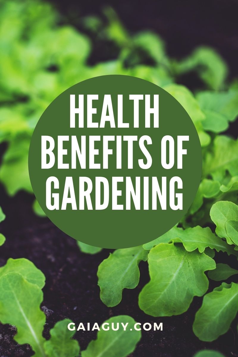 health benefits of gardening