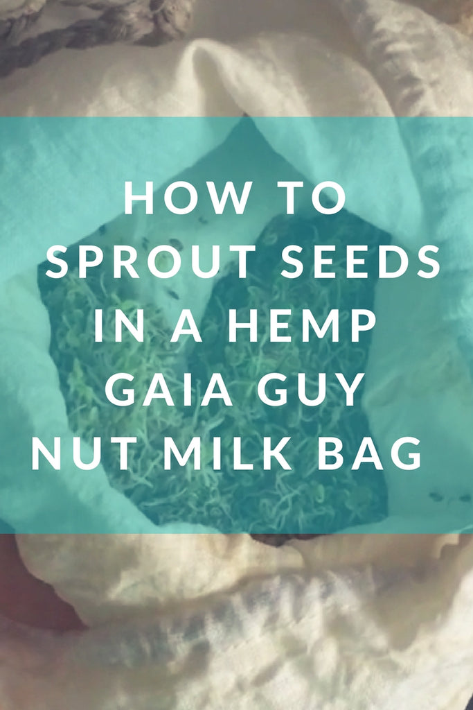 how to sprout seeds hemp sprout bag