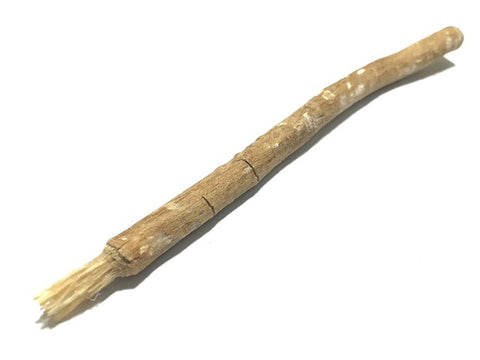 miswak toothbrush