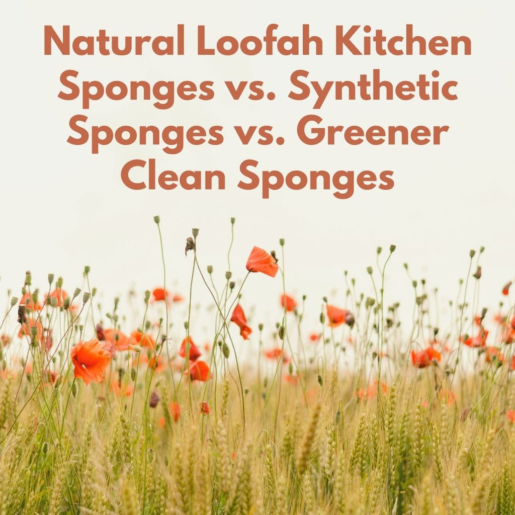 natural loofah kitchen sponges vs synthetic sponges vs greener clean sponges