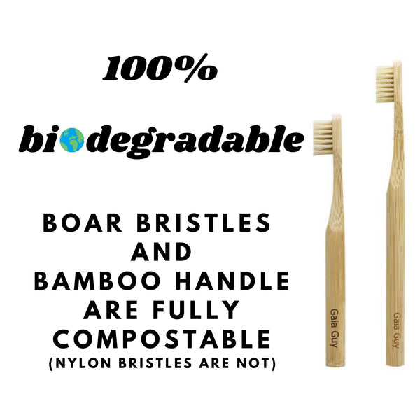 compostable toothbrushes kids and adults