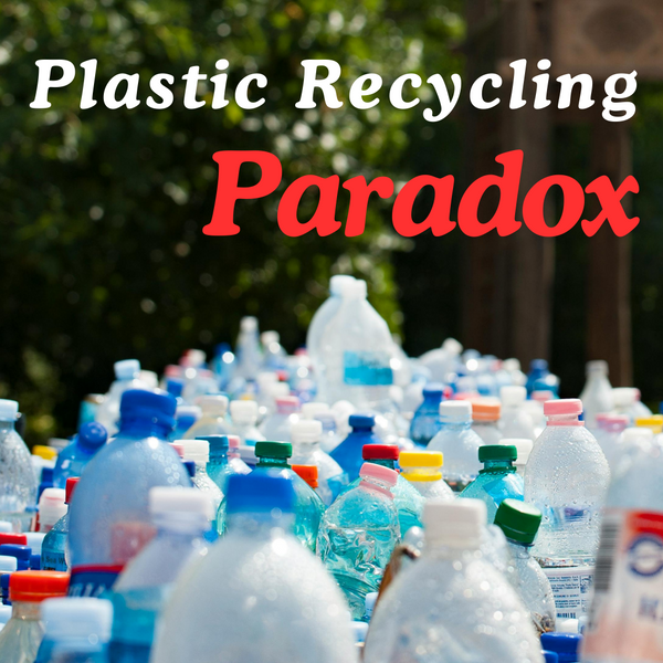 plastic recycling Paradox
