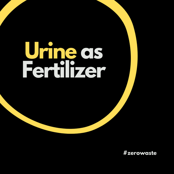 human urine as fertilizer