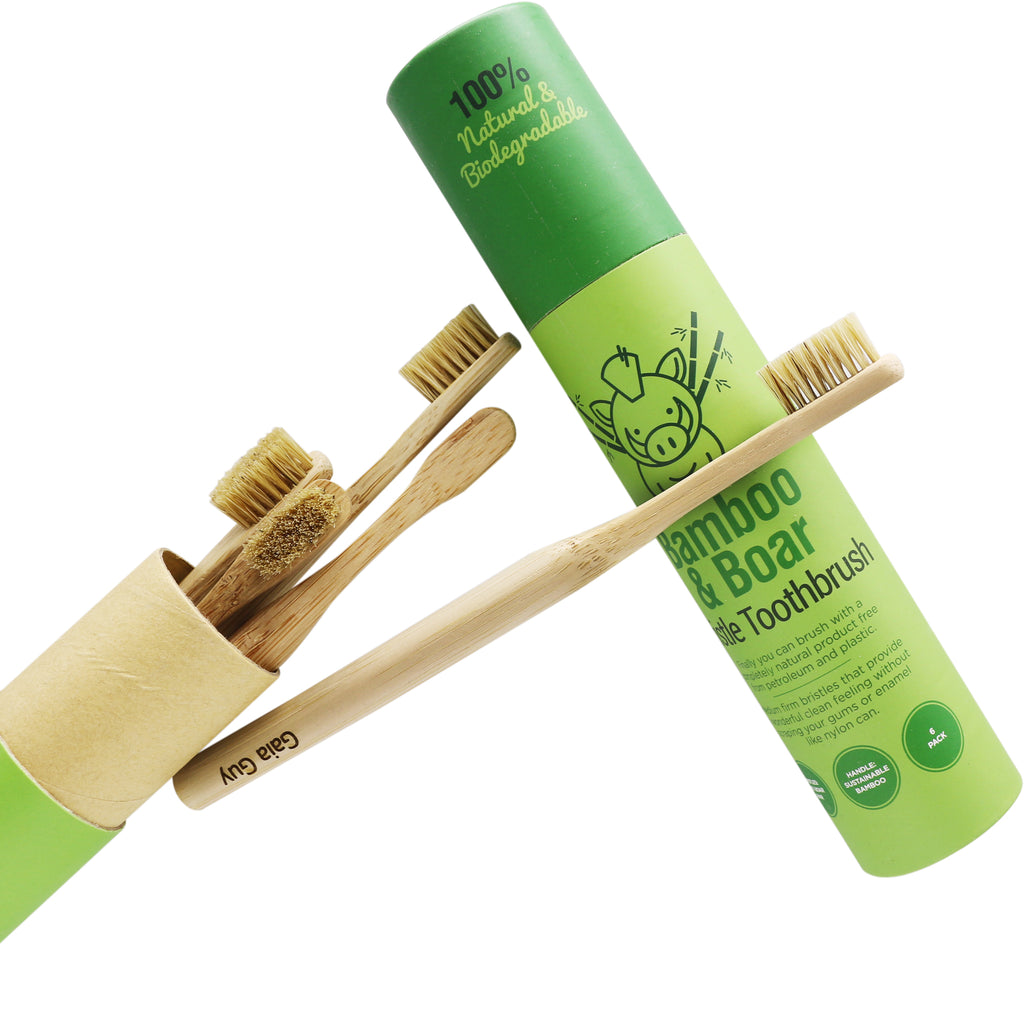 Natural Bristle Bamboo Toothbrush - 6-pack – Gaia Guy