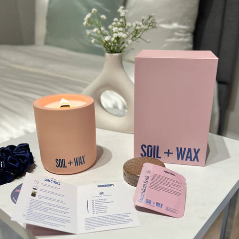 Salt & Wax Succulent Growing kit