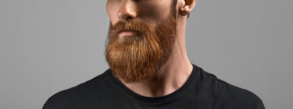 Man With Red Beard