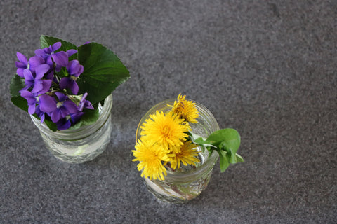 dandelions and violets