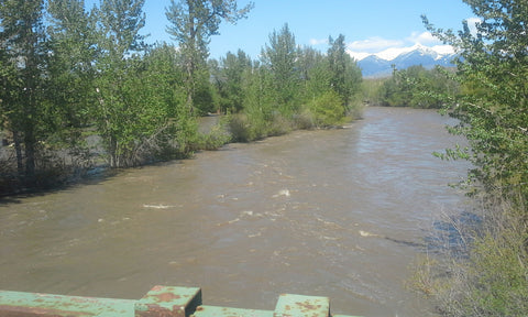 Salmon River