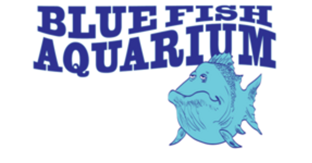 Blue Fish Aquarium