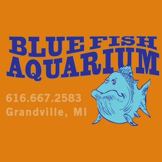 bluefish tickets