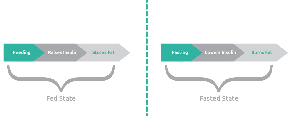 Weighing In How to Understand Your Body Lose Weight and Live a Healthier Lifestyle Sunscreen