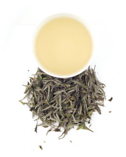 a cup of brewed king of bai mudan white tea