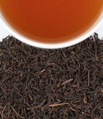 Finum 100 TEA FILTER (L) – Filtre à thé en papier, grand filtre