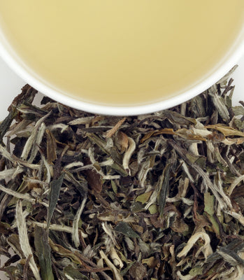 White Silver Needle Tea