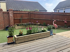 Planters on Decking