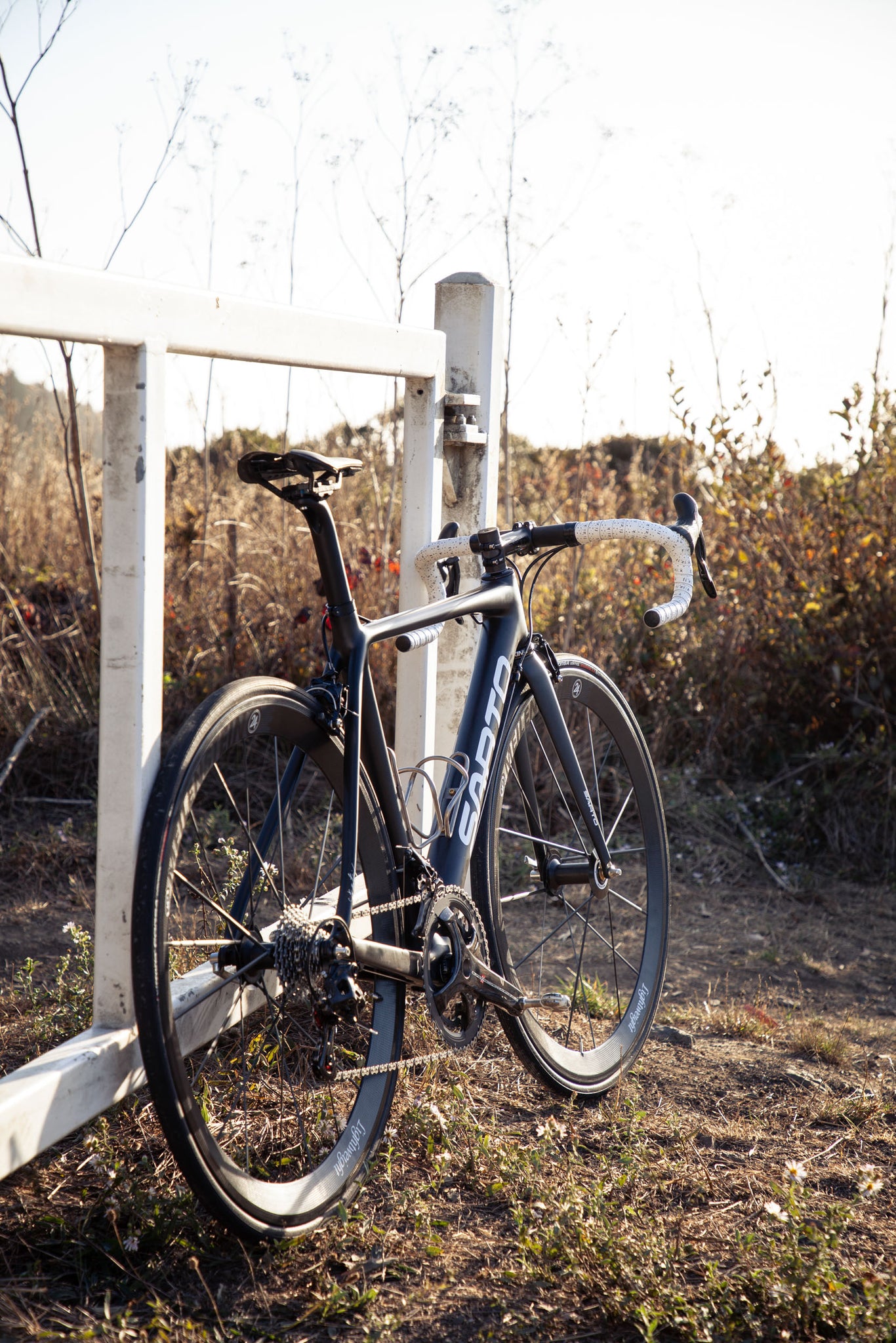 chad sarto dinamica bike fence rear angle