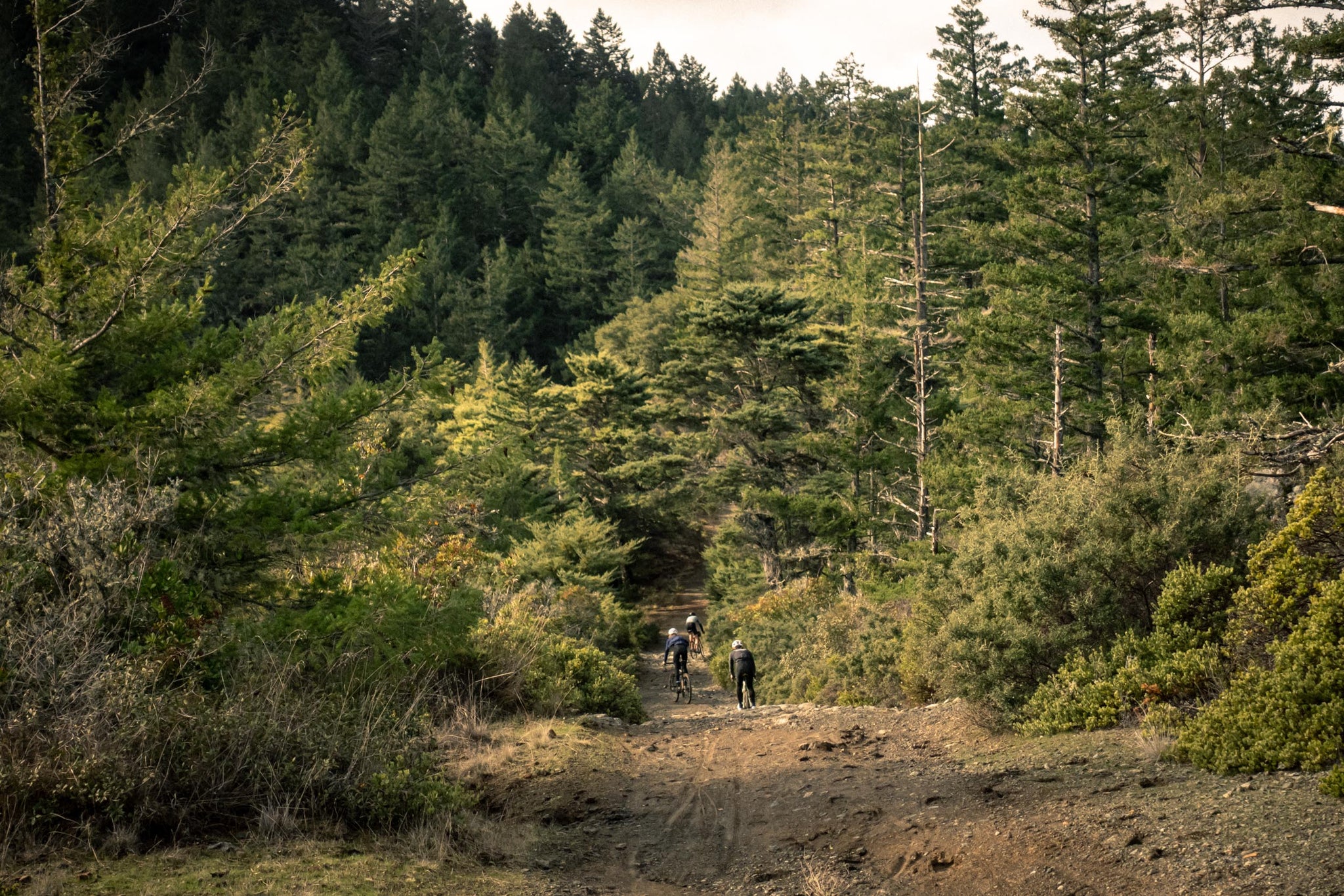 osbr_san geronimo Ridge