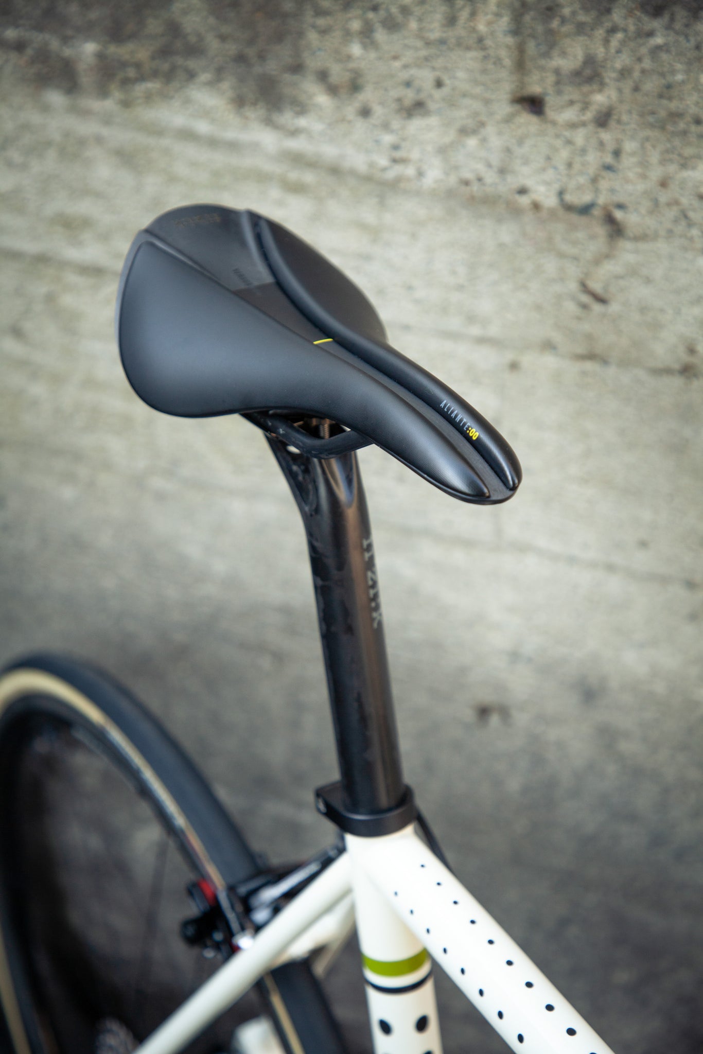 pegoretti responsorium fizik versus evo