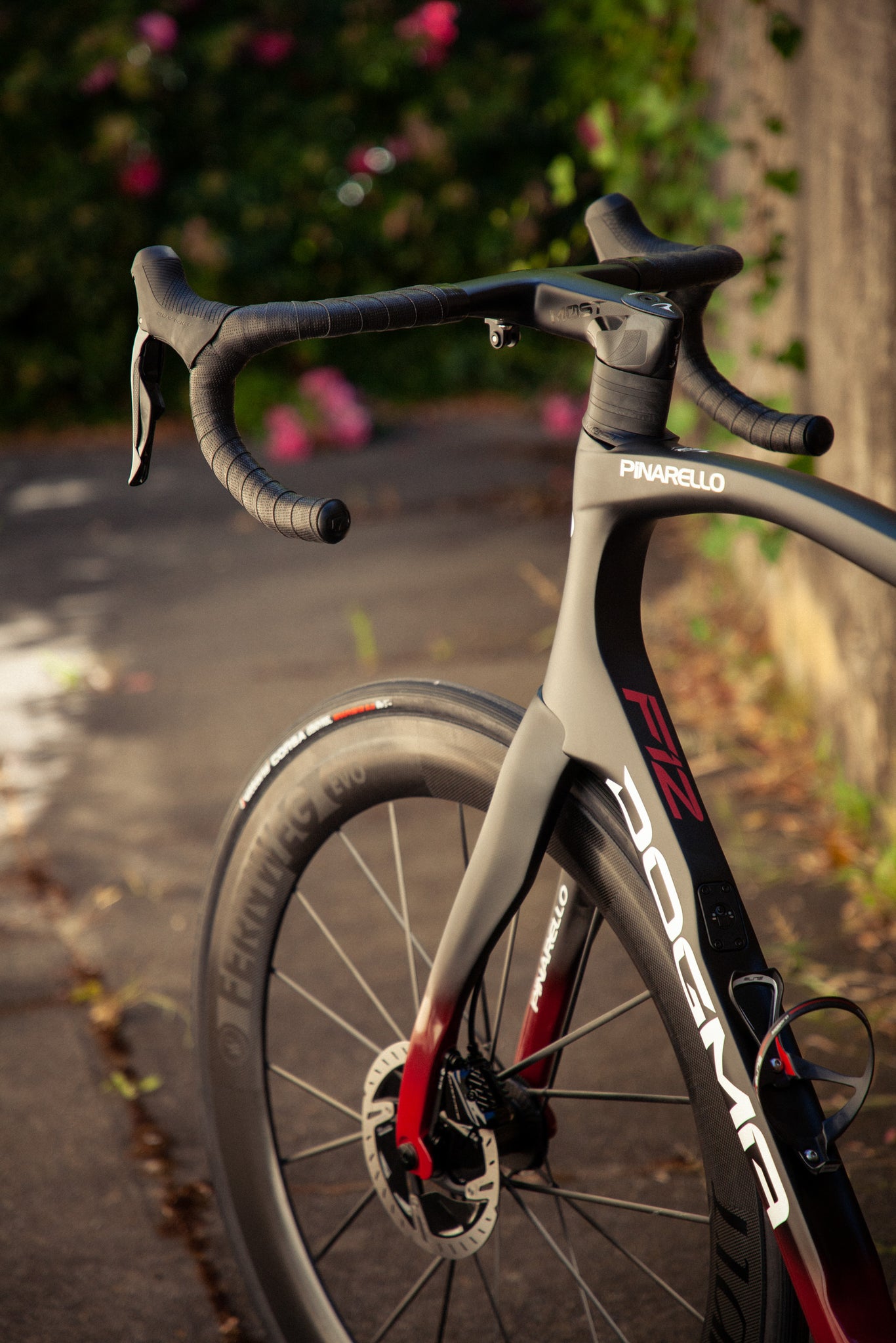 pinarello dogma f12 front end nds
