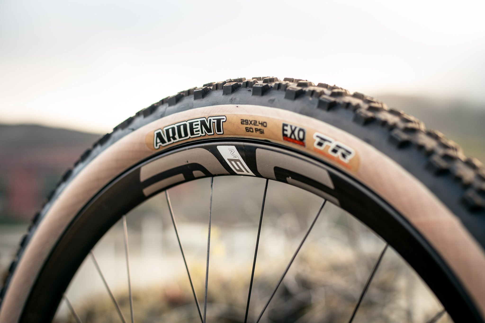 maxxis ardent tan wall 2.4