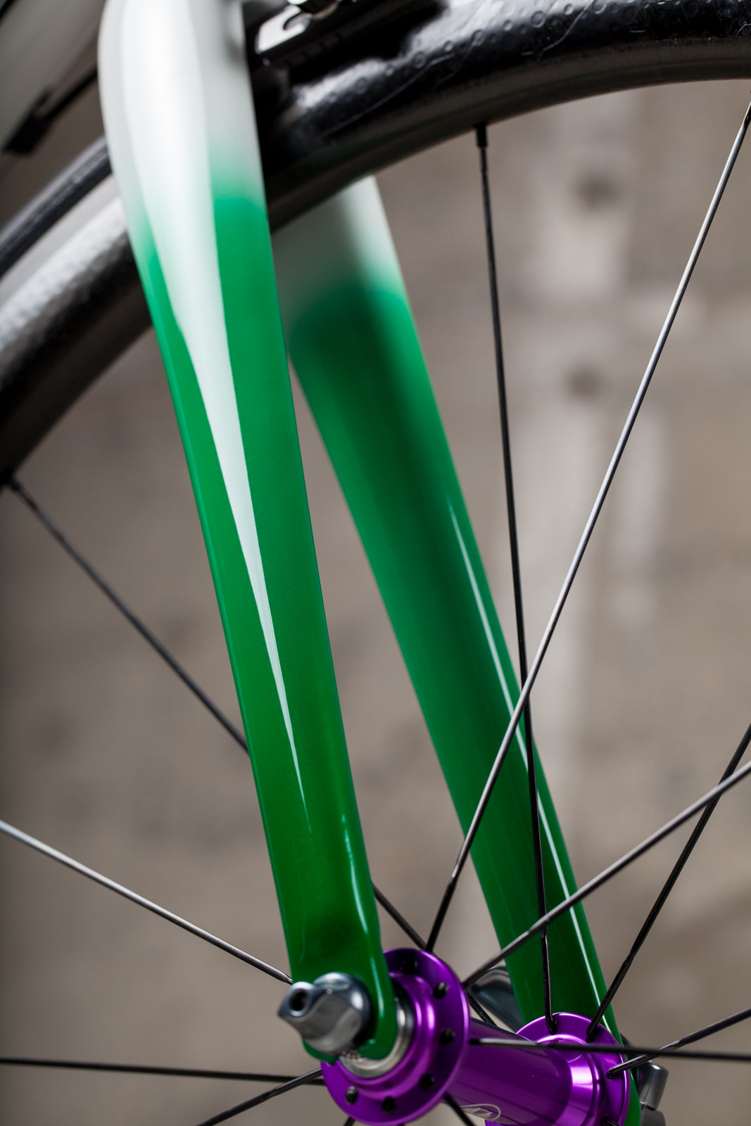 Argonaut custom carbon bicycle fork paint